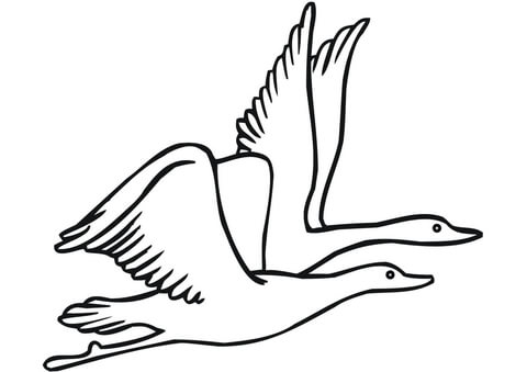 Two Flying Geese Coloring Page